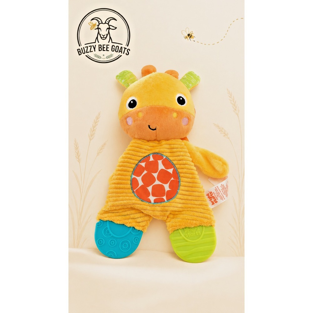 BRIGHT STARTS SNUGGLE & TEETHE GIRAFFE PLUSH TEETHER BABY LOVEY 0M+